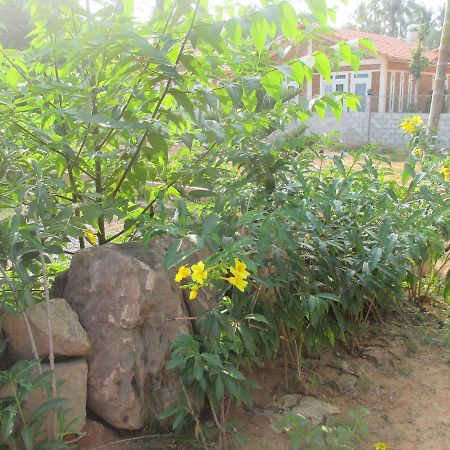 Bamboo Garden Resort Phú Quốc Ngoại thất bức ảnh