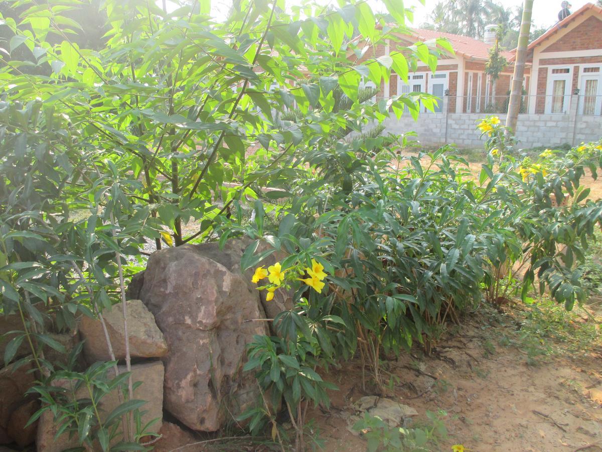 Bamboo Garden Resort Phú Quốc Ngoại thất bức ảnh