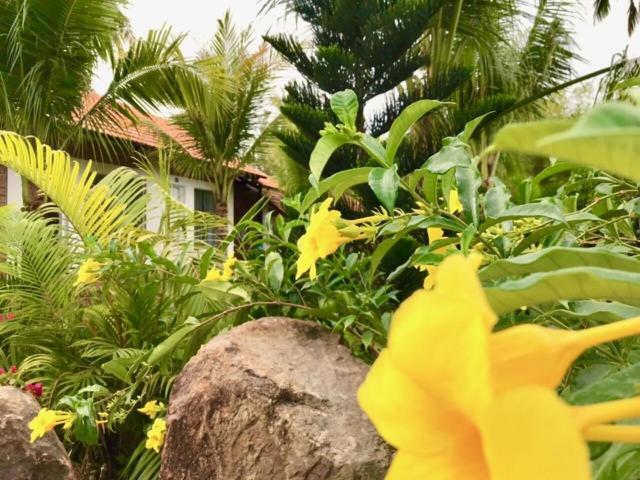 Bamboo Garden Resort Phú Quốc Ngoại thất bức ảnh