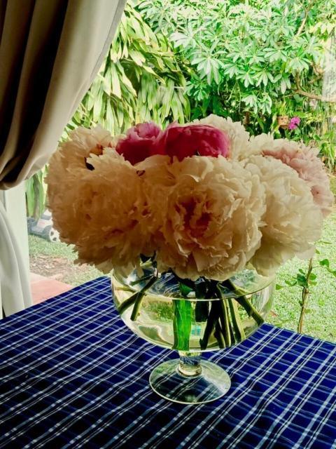 Bamboo Garden Resort Phú Quốc Ngoại thất bức ảnh